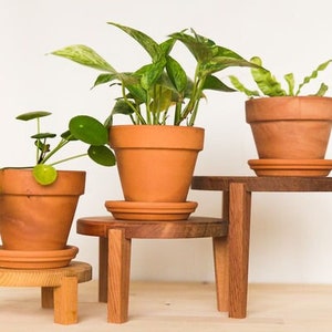 May include: Three terracotta pots with plants on wooden plant stands. The stands are different heights and are made of natural wood.