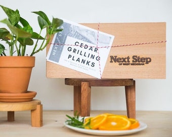 Grilling Planks | Set of 10 Cedar Planks | BBQ Cedar Grilling Planks