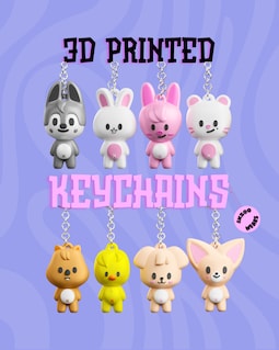 Skzoo Keychain, Stray Kids Keychain, 3D Printed Keyring, Pilot