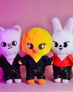 Valentine's Day Special Taste Themed SKZOO Outfits, Stray Kids