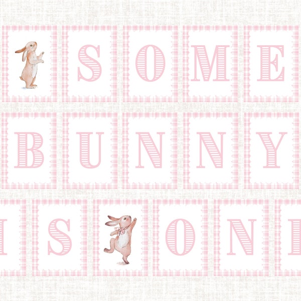 Some Bunny is One banner, Bunny 1st Birthday Party banner, Bunny Party monthly milestone photo banner, Grandmillennial Party