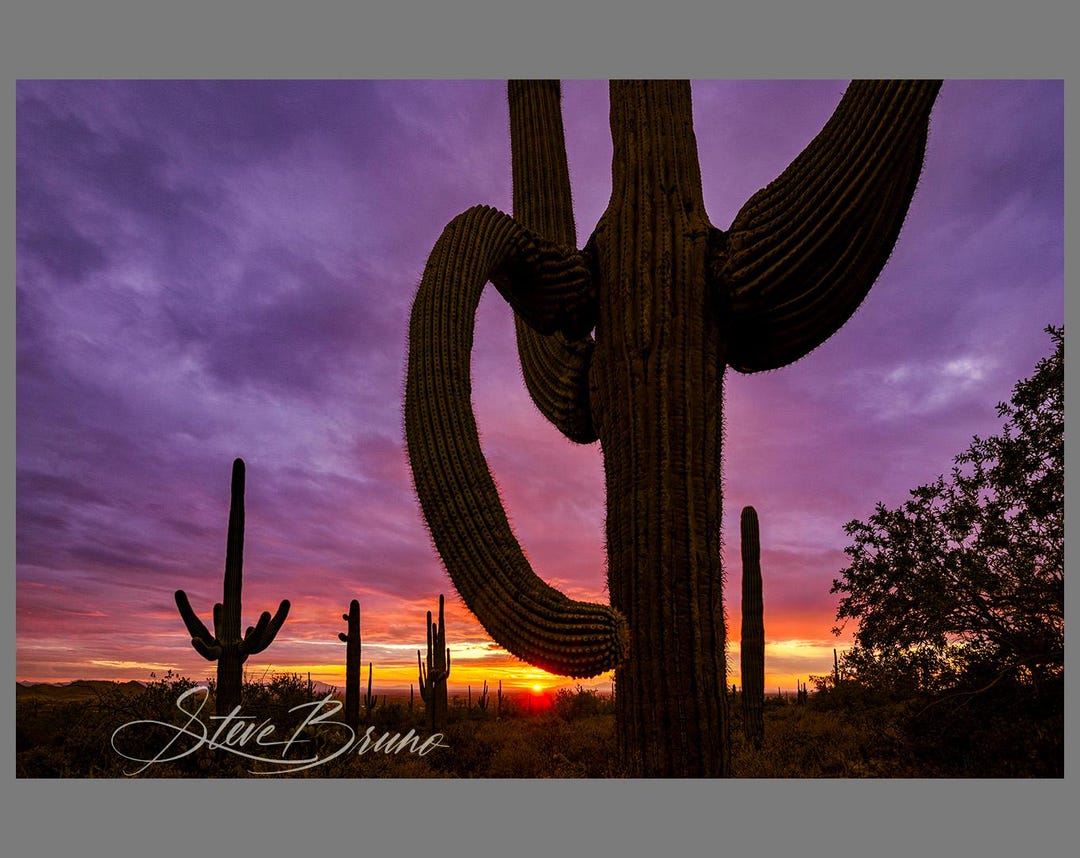 Arizona Desert Sunset, Saguaro Cactus Photograph, Landscape Wall Art - Etsy