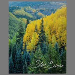 Colorado Landscape Photography, Autumn Leaves Photography, Aspen Trees, Home Decor, Nature Photos, Landscape Print, Wall Art, Rocky Mountain