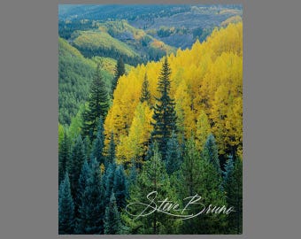 Colorado Landscape Photography, Autumn Leaves Photography, Aspen Trees, Home Decor, Nature Photos, Landscape Print, Wall Art, Rocky Mountain