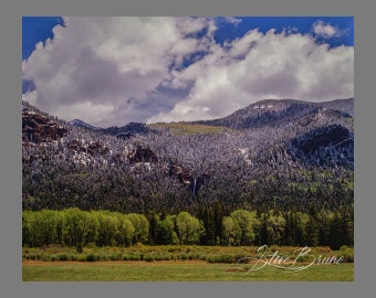 Seasonal Transition Landscape Photography, Colorado Wall Art, Nature Photo, Wolf Creek Pass Photo, Home Decor, Colorado Travel, Wall Art