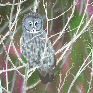 Hibou en hiver - carte de voeux d'art originale, dessin numérique, blanc à l'intérieur