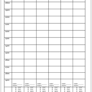 Peut inclure: Un tableau vierge avec des colonnes pour l'apport et la sortie du patient. Le tableau est divisé en 12 lignes, chacune représentant une période de temps de 07h00 à 19h00. Chaque ligne comporte des colonnes pour l'apport et la sortie, avec des cases à cocher pour ACHS, Foley, NIHSS, Restraints et Tele.