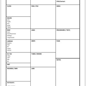 ICU RN Nurse Report Sheet, Intensive Care Unit RN Nursing Report Sheet, Nurse Brain