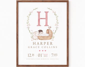Baby Birth Details Nursery Print, Birth Stats Wall Art, Birth Announcement, Baby Keepsake Print, Nursery Decor [ DIGITAL DOWNLOAD ]