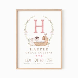 Baby Birth Details Nursery Print, Birth Stats Wall Art, Birth Announcement, Baby Keepsake Print, Nursery Decor [ DIGITAL DOWNLOAD ]