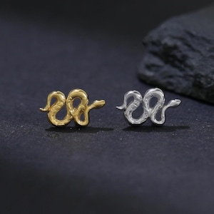 Op de afbeelding: Een paar slangen-vormige oorstekers, één goudkleurig en de andere zilverkleurig. Ze worden gepresenteerd op een donkere ondergrond met een zwarte rots op de achtergrond. De oorbellen zijn klein en delicaat, van metaal.