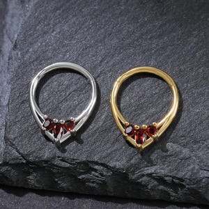 May include: Two nose rings, one silver and one gold, each featuring three small, heart-shaped, deep red gemstones. The rings are set against a dark, textured background, highlighting the contrast between the metals and the gems.