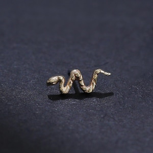 Könnte beinhalten: Ein kleiner goldfarbener Ohrstecker in Form einer gewundenen Schlange. Die Metalloberfläche weist ein strukturiertes, segmentiertes Muster entlang des Schlangenkörpers auf, mit einem ausgeprägten Kopf und einem geschwungenen Schwanz.