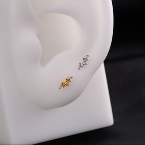 May include: Two ear studs, one gold-toned and one silver-toned, each featuring a cluster of small, leaf-shaped elements with clear, sparkling accents. The studs are displayed on a white ear model, showcasing their design and detail.