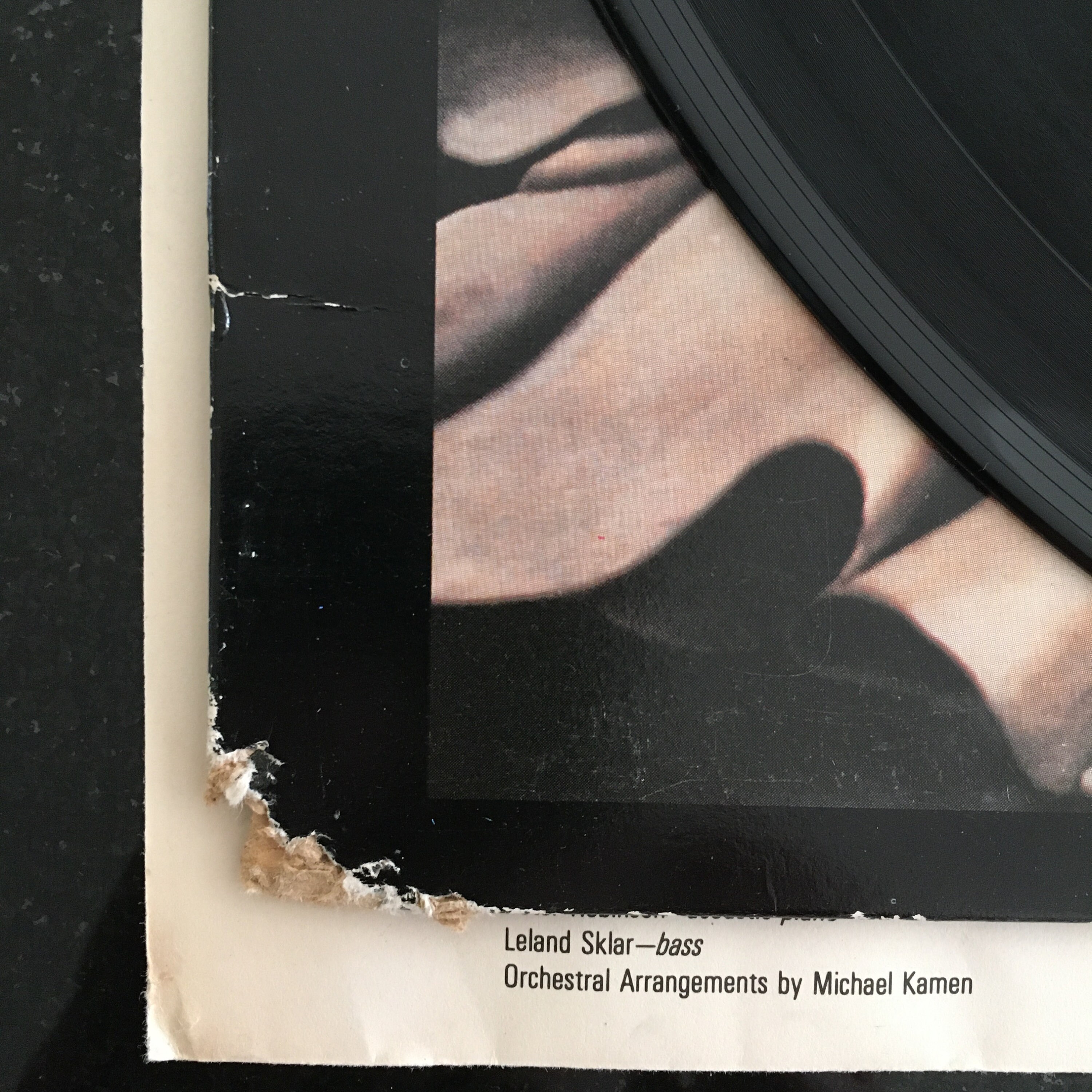 Vinyl Record Shawn Phillips / Transcendence LP Album Etsy