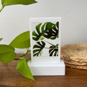 Puede incluir: Una fotografía enmarcada en blanco de una planta de Monstera con hojas grandes y verdes. La fotografía se muestra sobre un soporte blanco texturizado. La imagen está sobre un fondo neutro, con una superficie de madera en primer plano y una planta verde en la esquina superior izquierda.