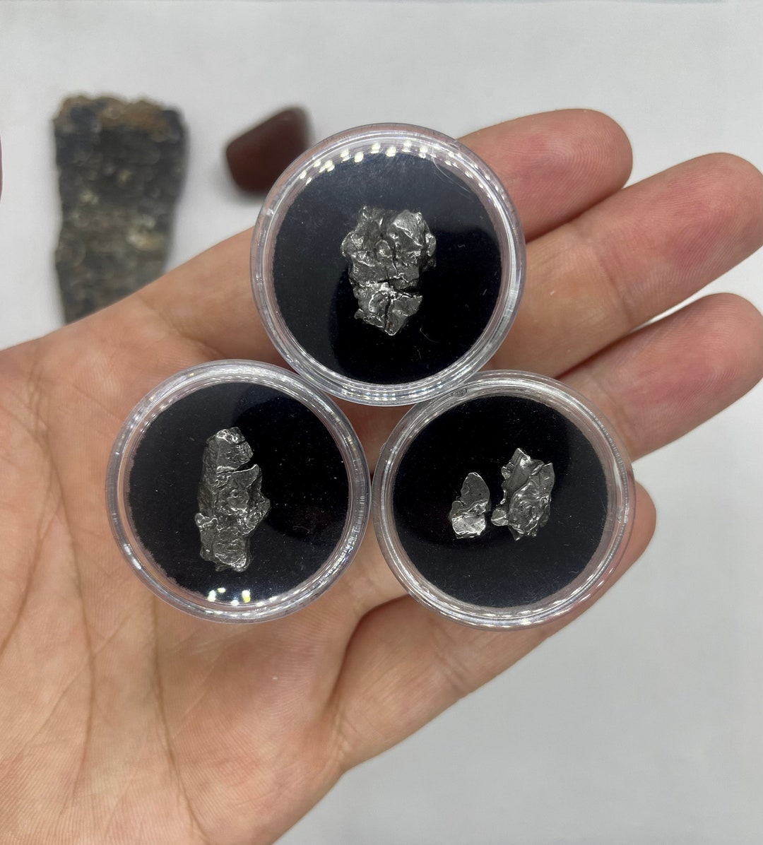 Genuine Campo Del Cielo Meteorite in Collector Case With Label - Etsy