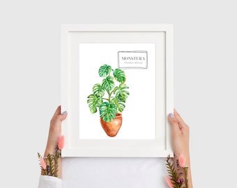 Art mural botanique imprimable | Impression de plante Monstera | Décoration de feuille minimaliste | Téléchargement instantané