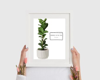 Afdrukbare botanische muurkunst | Print met vioolblad en vijgenplant | Minimalistisch woondecoratie | Direct downloaden