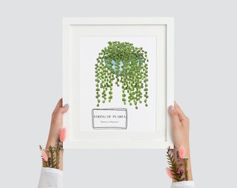 String of Pearls Houseplant Wall Art | Green Leaf Print | Printable Wall Art