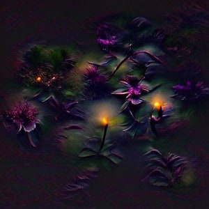 Jardim Umbra