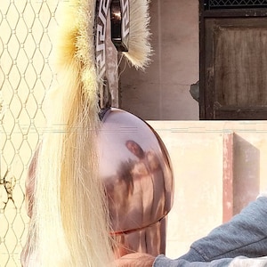 May include: A bronze spartan helmet with a white horsehair plume. The helmet has a greek key design on the front.