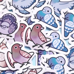 Silly Pigeon Sticker Pack