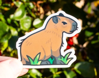 Vinyl capibara-sticker