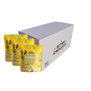 STAR CANDIES Freeze-Dried Vanilla Ice Cream – Crunchy & Delicious Astronaut Snack