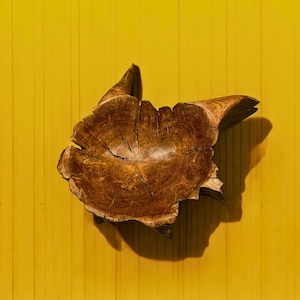 Handcrafted Wood Plate