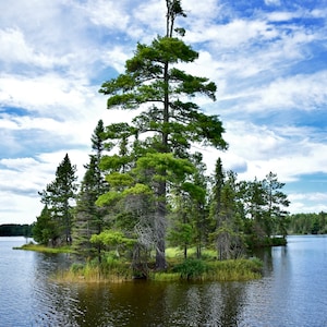 Land Of Sky Blue Waters, Bear Head Lake St park Minnesota, Metal Print ,Canvas, Fine Art Photography.