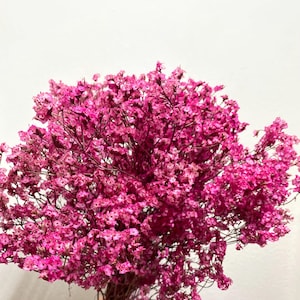 Preserved Limonium flower/Preserved Crystal flower/Flower Bunches/DIY Dried Flowers/Dried flower for DIY Wedding or Event /Home Decor