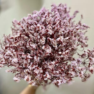 Preserved Limonium flower/Preserved Crystal flower/Flower Bunches/DIY Dried Flowers/Dried flower for DIY Wedding or Event /Home Decor