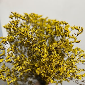 Preserved Limonium flower/Preserved Crystal flower/Flower Bunches/DIY Dried Flowers/Dried flower for DIY Wedding or Event /Home Decor