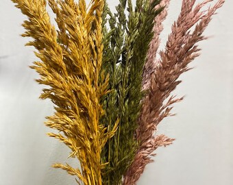 May include: A bouquet of dried ornamental grasses in shades of gold, green, and pink. The feathery plumes are bundled together, creating a textured and colorful display. The arrangement is held against a plain white background.