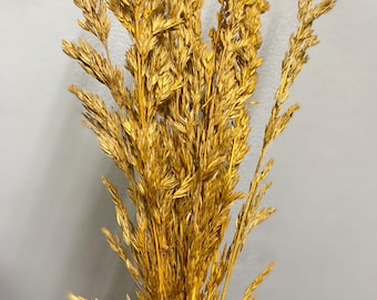 Dried Wild Oats Dried Wild Plant Bunches DIY Dried Flowers Flower Bundle Dried flower for DIY Wedding or Event Home Decor