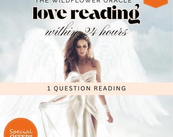 May include: A woman with long brown hair wearing a white dress stands in front of a white background with angel wings. The text "THE WILDFLOWER ORACLE love reading within 24 hours 1 QUESTION READING NEW!" is displayed on the image.
