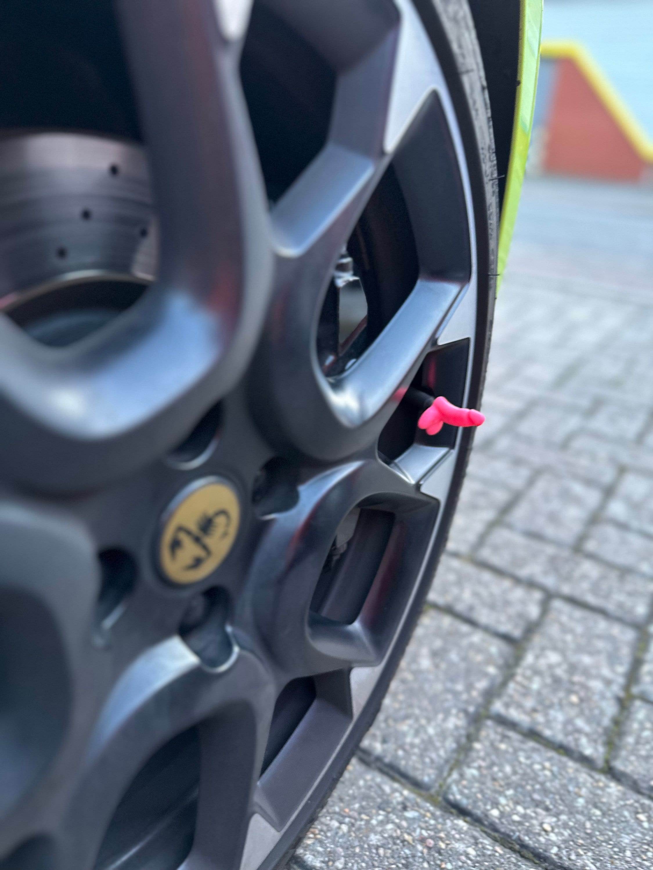 Dick Dust Caps - Etsy Canada