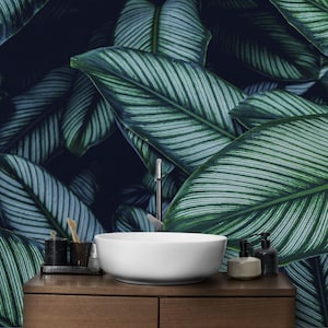 Dark Calathea Plant Wallpaper | Luxury Modern Wall Decor | Nature Green Leaves Bathroom 3D Mural | Peel and Stick | Removable Self-Adhesive