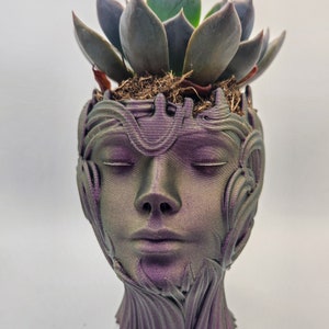 May include: A purple and green face-shaped planter with a succulent plant growing out of the top. The planter has a detailed design of vines and leaves.