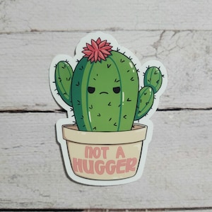 Adesivo fustellato con citazione sarcastica e divertente "Not a Hugger Cactus", pianta grassa in vaso