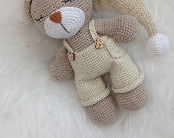 Personalized Crochet Bear Doll ,sleppy bear , easter bear, bear for sale, knitted animals , Personalized Easter Gift, Postpartum Gift
