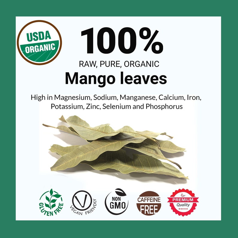 Pure Mango Leaves, Mango Tea, All Natural Leaves, Te Hojas De Mango