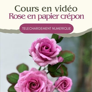Videocorso Ecuador Rosa in carta crespa
