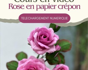 Video tutorial: Rose Ecuador made of crepe paper