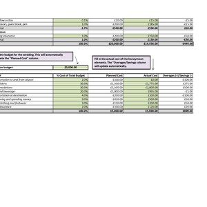 May include: A budget spreadsheet for a wedding and honeymoon. The spreadsheet includes categories for the wedding and honeymoon, as well as the planned cost, actual cost, and overages or savings for each category.