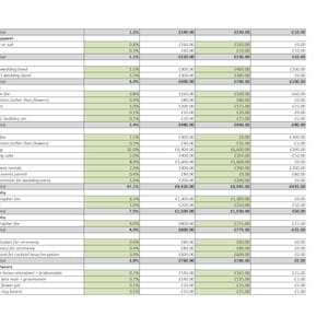 May include: A detailed spreadsheet outlining wedding budget categories and estimated costs in pounds sterling. The spreadsheet includes categories such as Groom's Apparel, Rings, Ceremony, Reception, Photography, Videography, Music, and Gifts and Favors. Each category lists individual items with their corresponding percentage of the total budget and estimated cost.