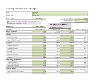 Wedding & Honeymoon Budget Spreadsheet with Guest Tracker (Digital Download)