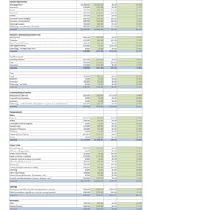 Op de afbeelding: Een gedetailleerd spreadsheet met een blauw en groen kleurenschema, dat een voorbeeld van een huishoudbudget toont met inkomsten en uitgaven die per type zijn gecategoriseerd. De spreadsheet bevat kolommen voor de verwachte, werkelijke en verschilbedragen voor elke categorie, evenals het percentage van het huishoudinkomen of de uitgaven.