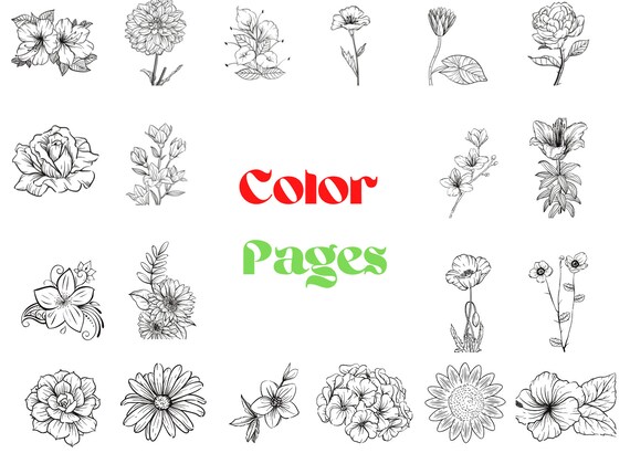 Printable Cute Flowers Coloring Pages Easy Fun Coloring - Etsy